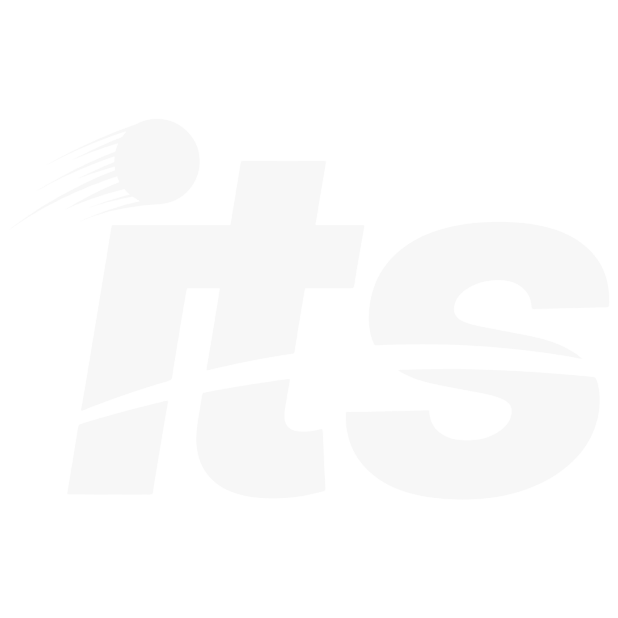 Indonesian Tennis Society